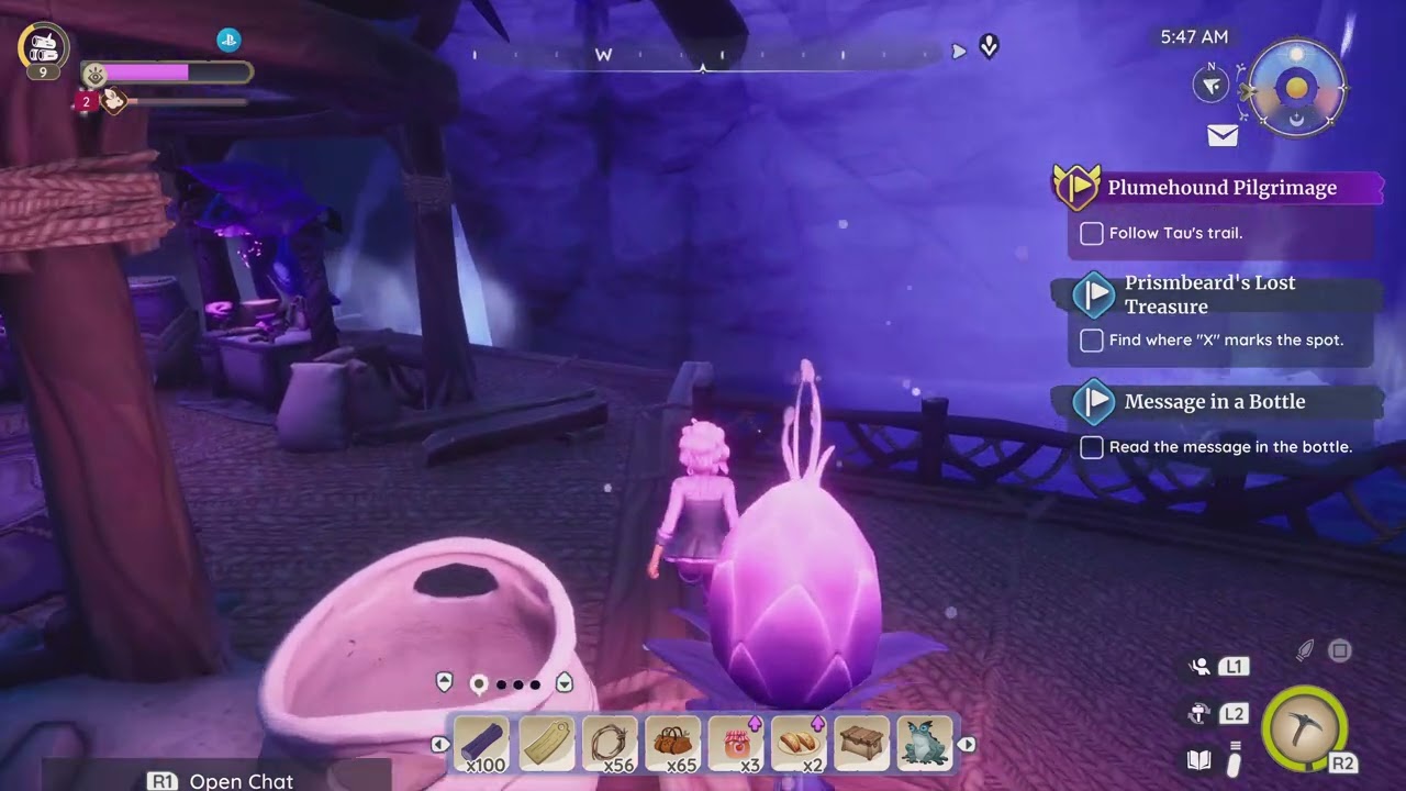 Palia_Discovered a new area.Central Stable. oh,.An elder wood.
