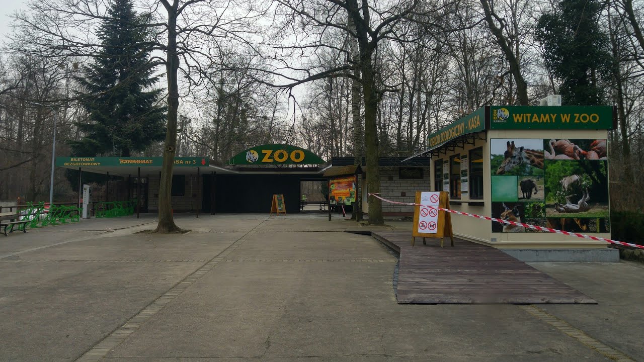 Nowe Zoo - Poznań 2018