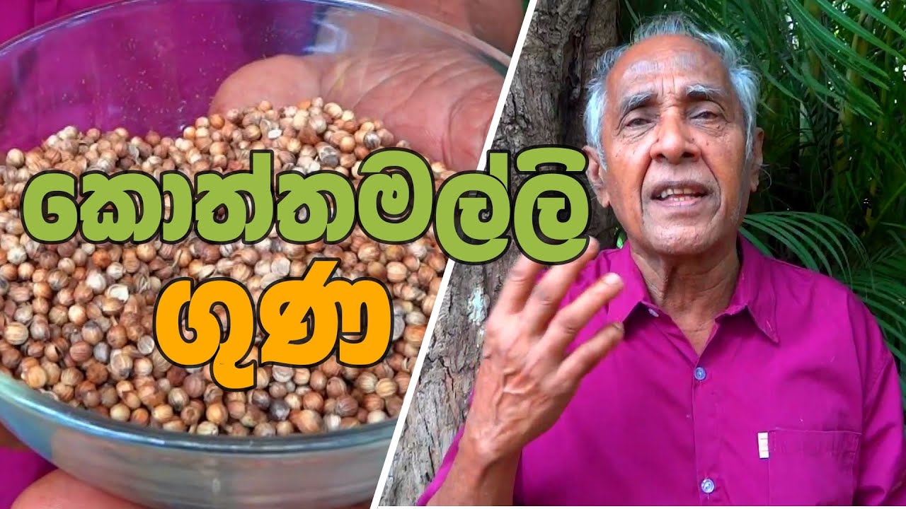 Health benefits of Koththamalli (Coriander). Ayurvedic and medicinal value of Coriander.