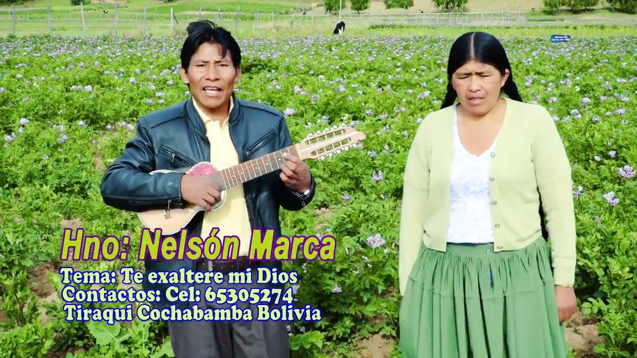 studio agua de vida   HNO NELSON MARCA 9