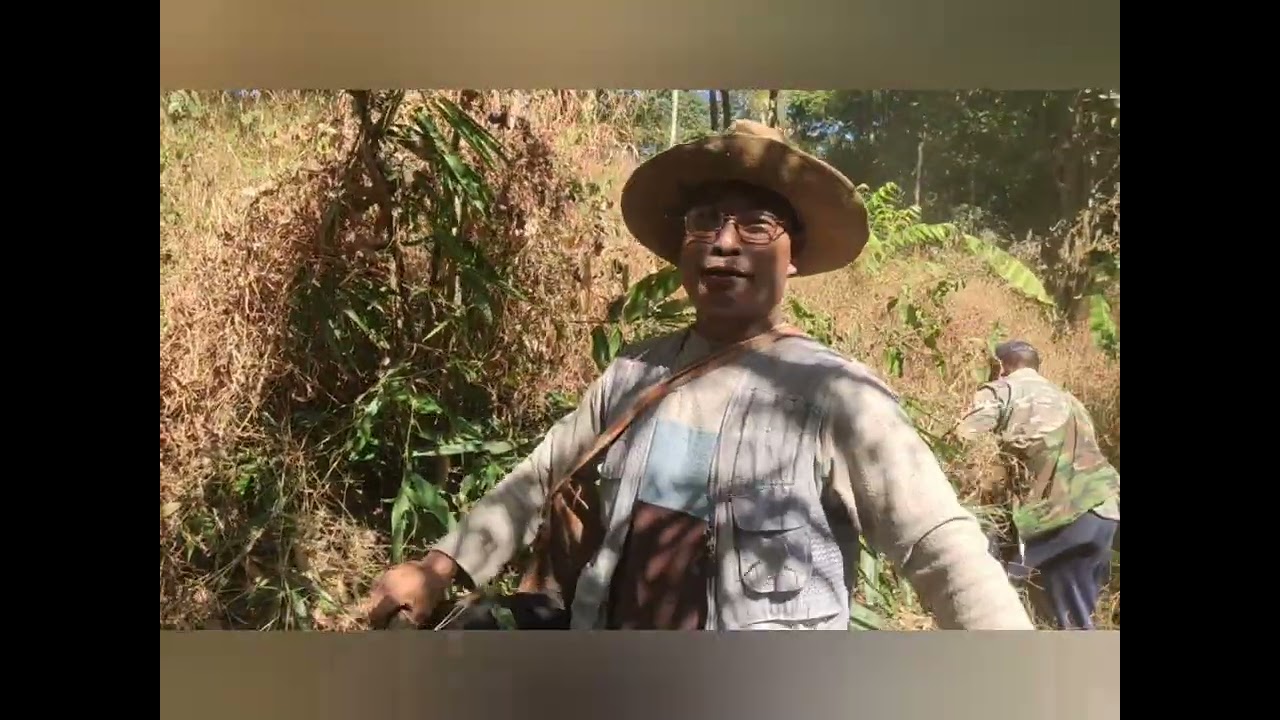 BMP Huansam hnatlang chawnpui 7 feb 2026