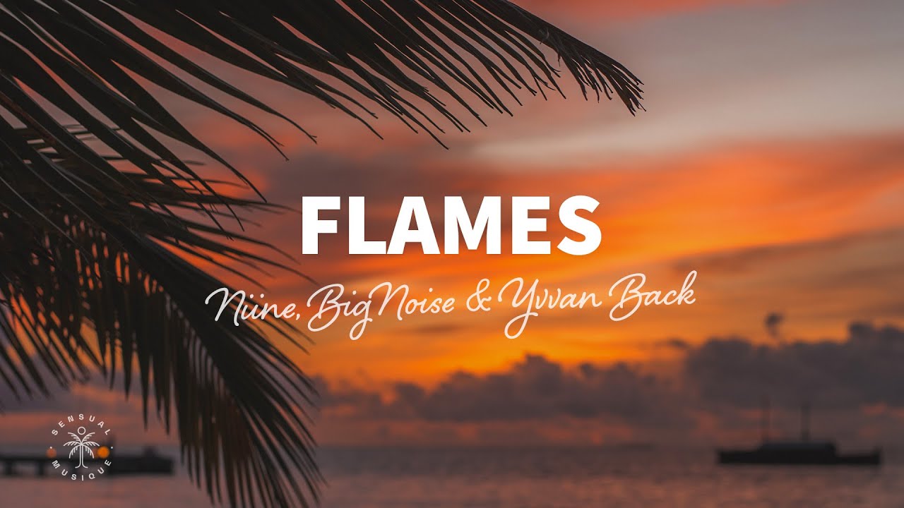 NIINE, BigNoise & Yvvan Back - Flames (Lyrics) ft. Tyzn