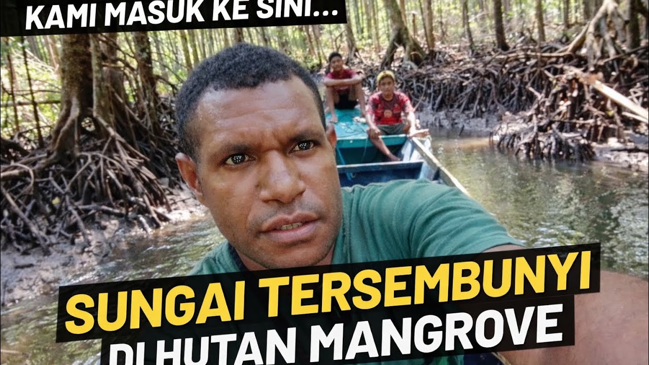 Menyusuri Sungai di Tengah Hutan Mangrove Papua | Perjalanan Penuh Cerita