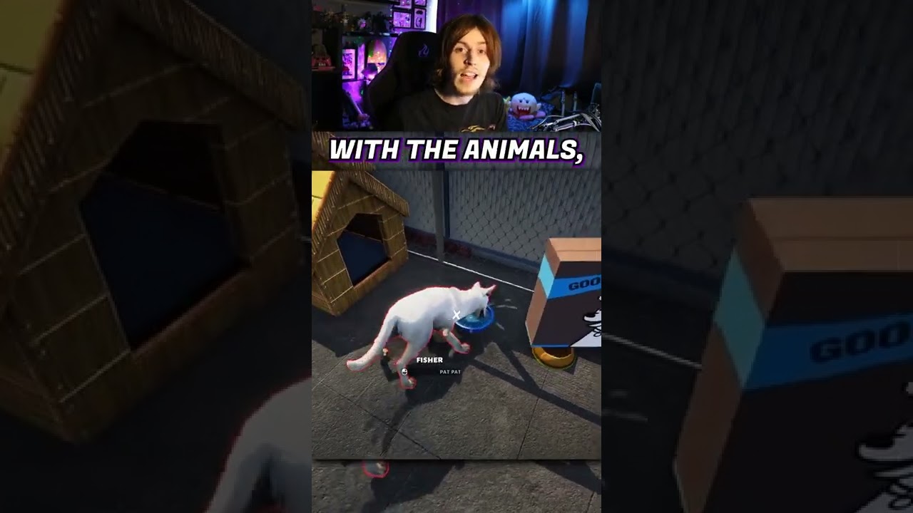 Самая милая игра-симулятор на сегодняшний день! &mdash; Animal Shelter Simulator