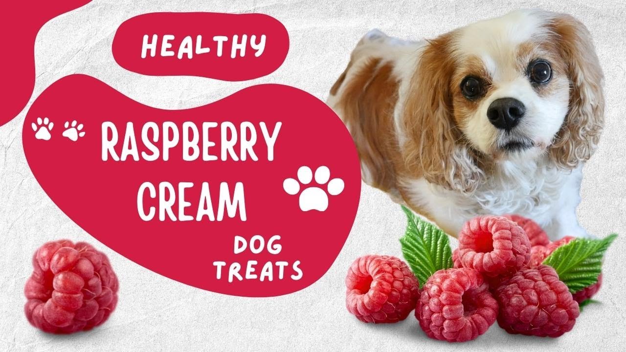 Frozen Yogurt (Kefir) Raspberry Fruit Dog Treats Recipe | DIY Natural Fruit Gummy Dog Treats
