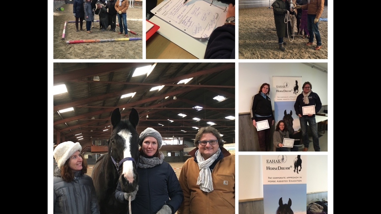 De Kunst van Leiderschap, HorseDream Train the Trainer, 01-2017