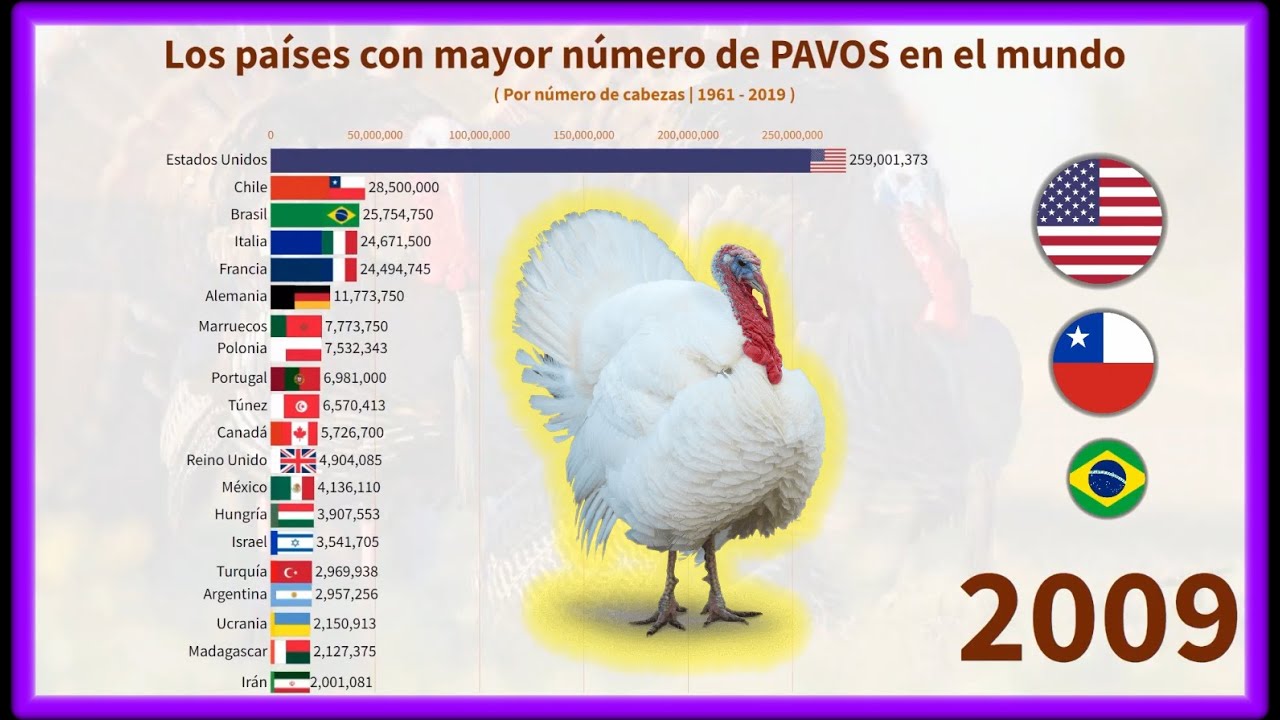 Los países con mayor número de PAVOS en el mundo 🦃
