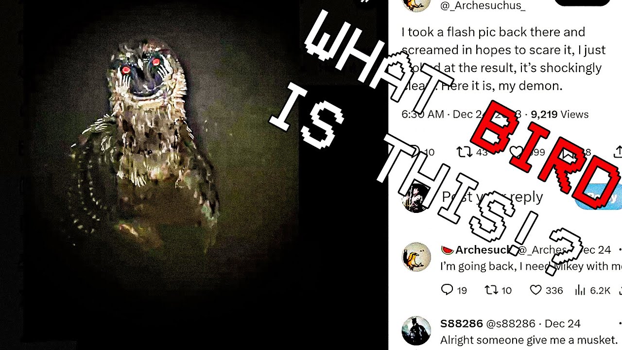 #WeirdBirds Is The Scariest Twitter ARG To Exist
