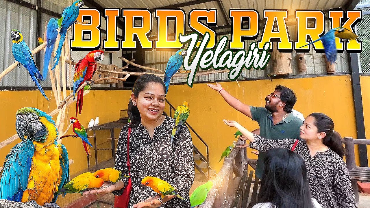 Yelagiri Birds Park | ஏலகிரி போன இதை miss பண்ணிடாதீங்க | Anithasampath Vlogs