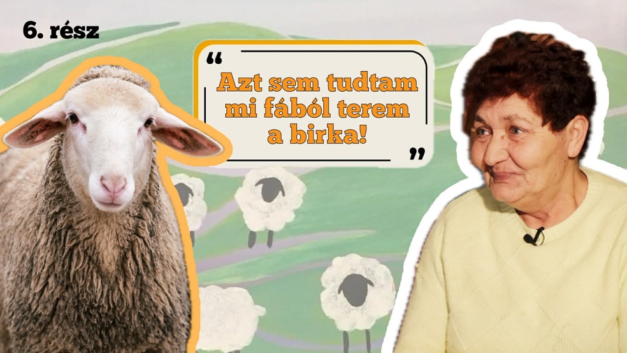 „Azt sem tudtam, mi fából terem a birka...” - Juhászasszony | Pásztorok a Bakonyból (Hegyesd) 6.rész