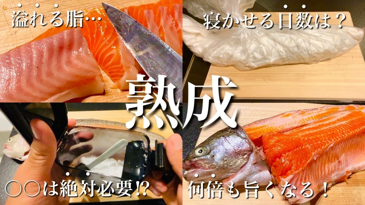 超簡単！管釣りのサーモンが超絶旨くなる熟成方法！料亭で出せるレベルの味になります。