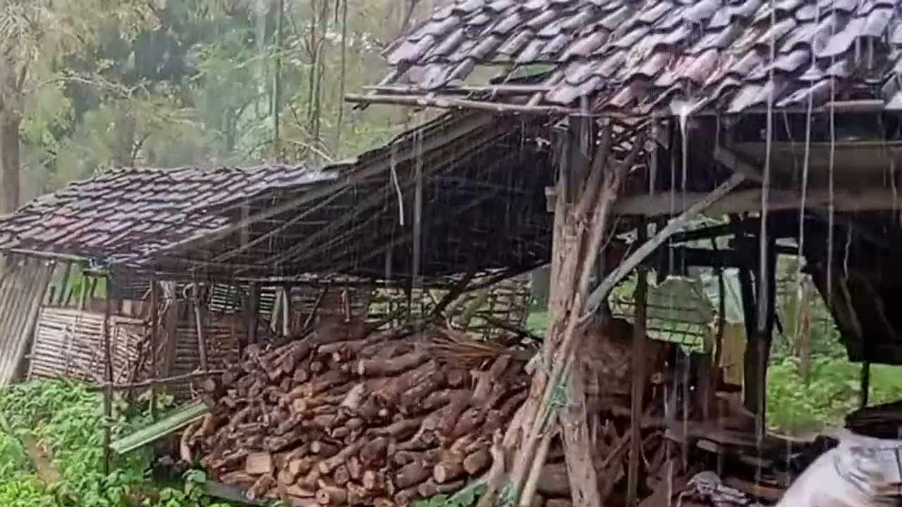 heavy rain, wind everywhere, thunderstorm