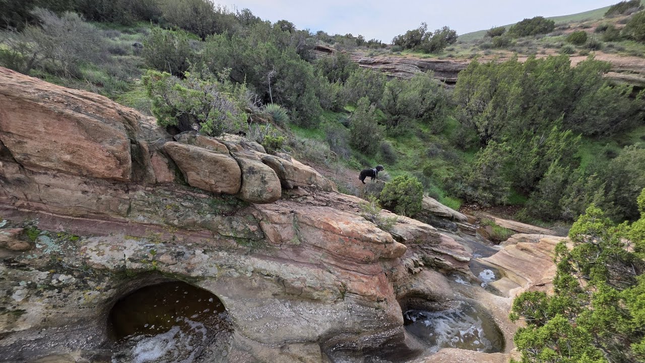 Rare seasonal teacup waterfall, Vasquez Rocks