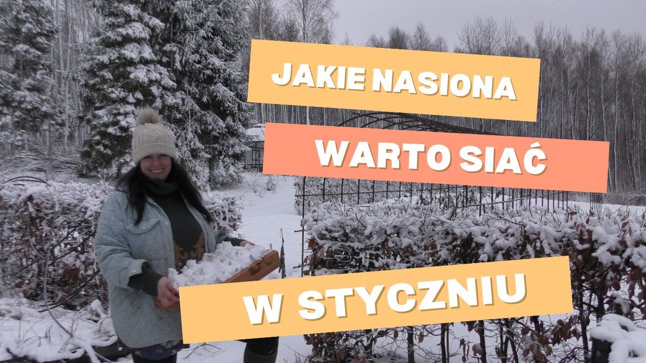 Jakie nasiona wysiewam w styczniu? Co i jak siać zimą.