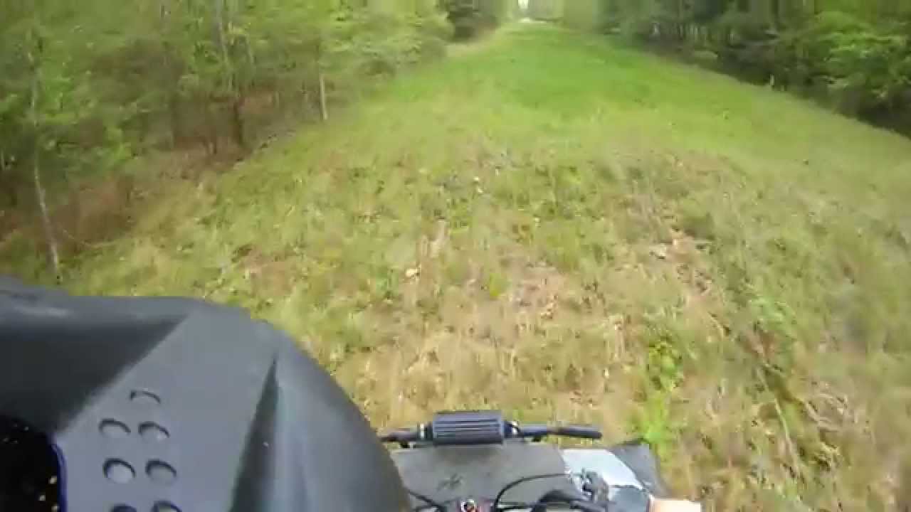 Timberwolf 250 Trail Ride