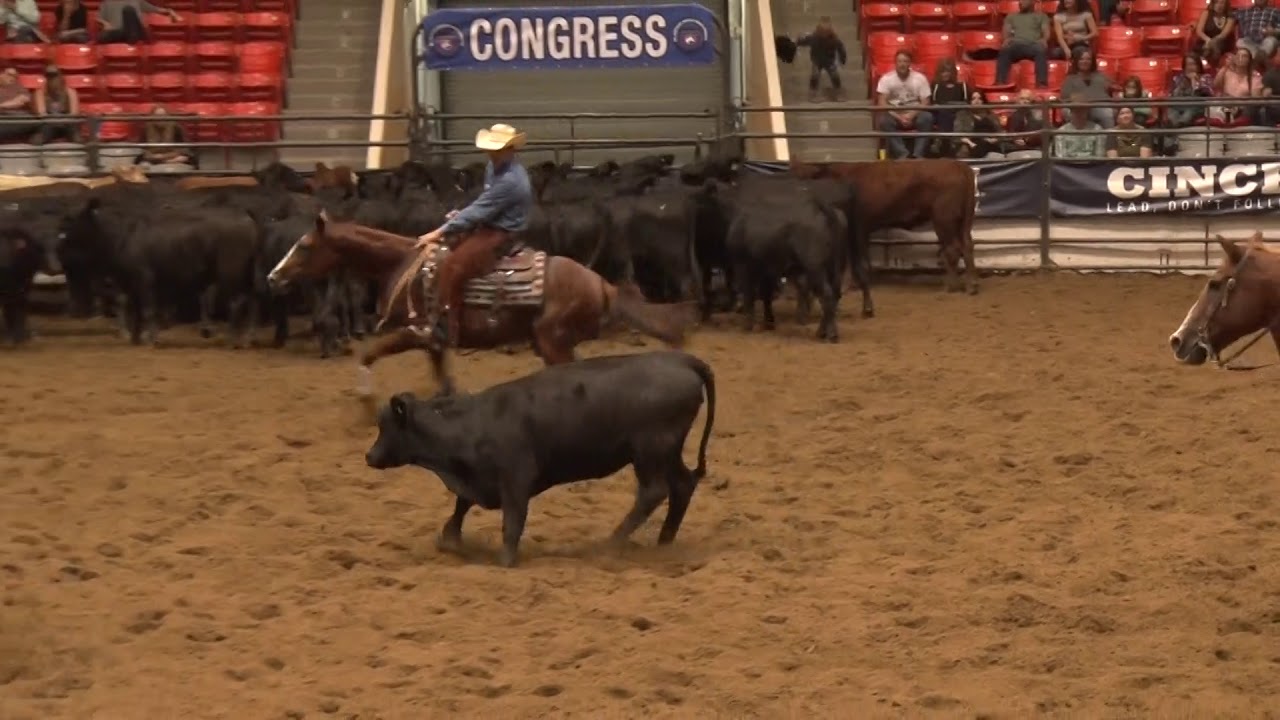 2019 Congress Bridleless Cutting Champion Challenge Gabe Reynolds on Hot Dona
