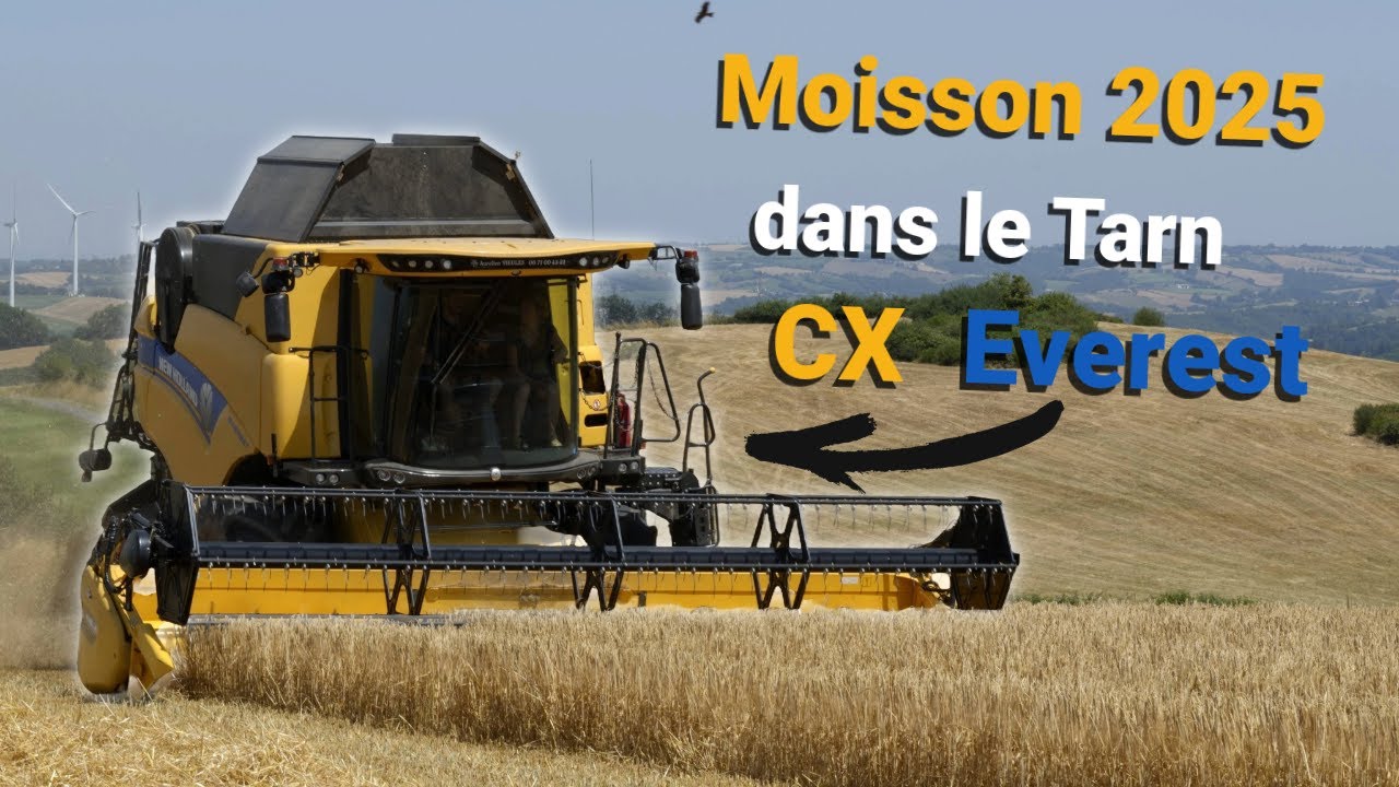 🌾Moisson d'orge 2025 dans les couteaux du Tarn CX 7.90 Everest🤯