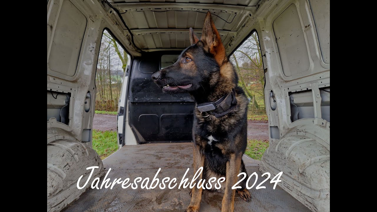 Kellerlacher Jahresabschluss 2024 | Trabant 601 | Piaggio Ape 50 | Motorroller | Schweden