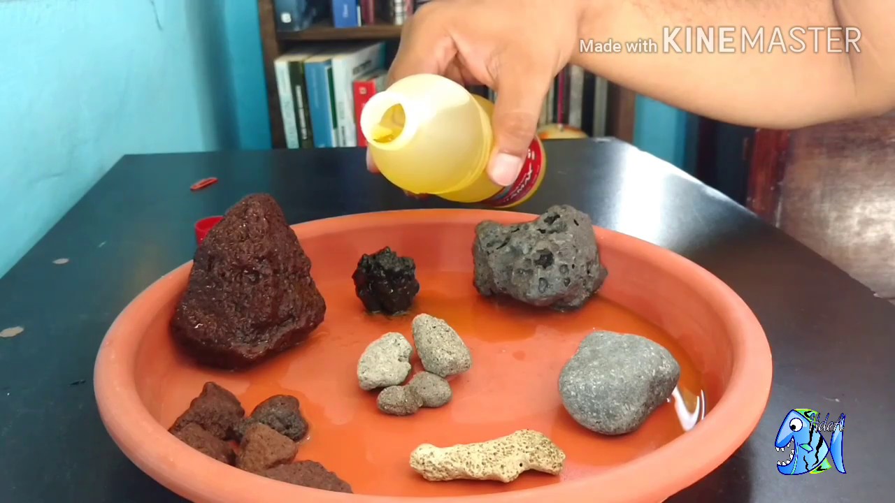 Como saber que piedras puedo meter a mi Acuario