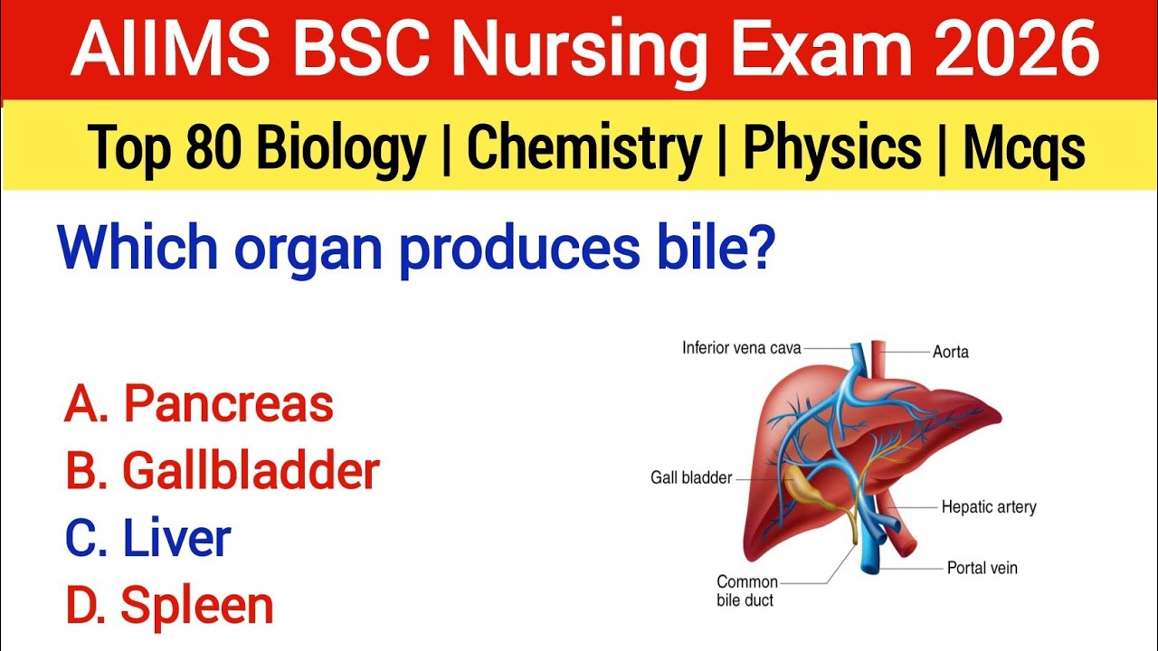 Топ-80 тестовых вопросов по сестринскому делу 2026 | AIIMS BSC Nursing MCQ | Экзамен BSC Nursing ...