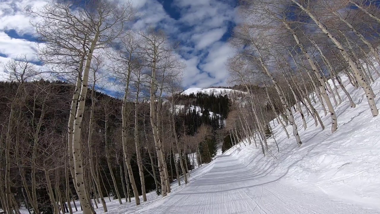 Feb 2020   Park City I   Upper Apex Ridge, EZ Street & Eclipse