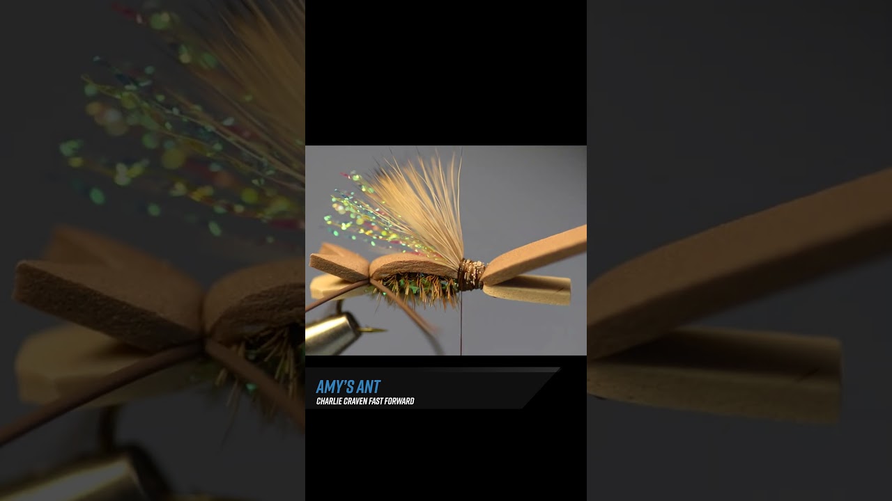 Fly Fisherman Fast-Forward: Tying the Amy's Ant Fly