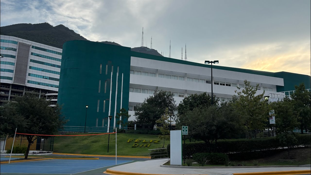Actividad 7. Gestión del talento 