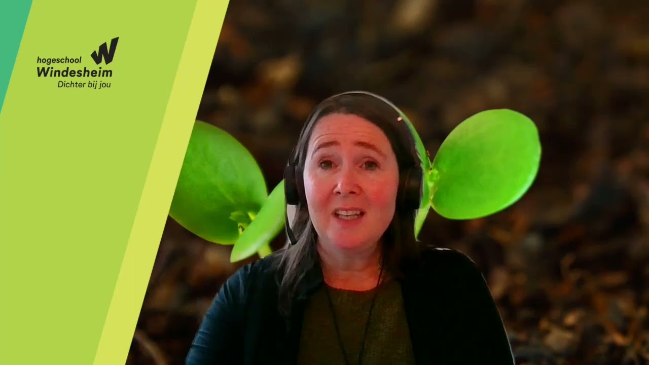 Systemisch coachen voor beginners