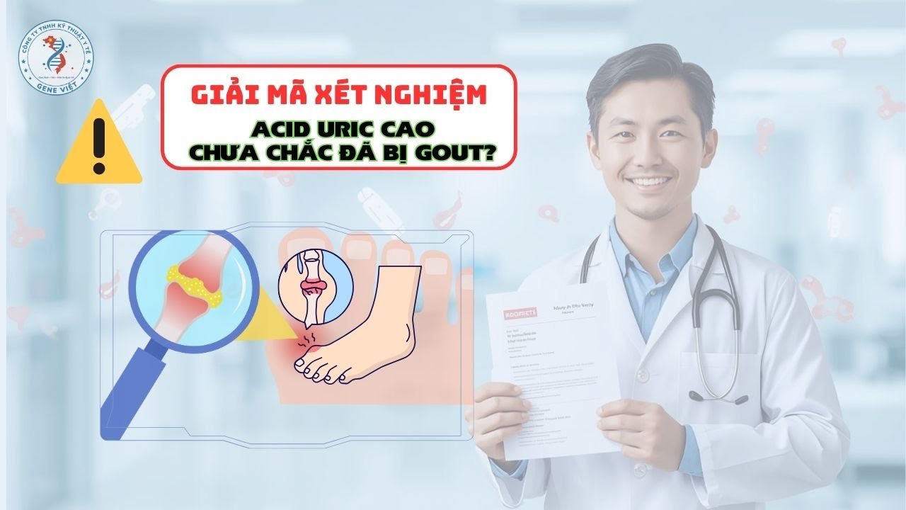 ⚠️ ACID URIC CAO: CHƯA CHẮC ĐÃ BỊ GOUT? Đừng Vội Kết Luận Khi Chưa Hiểu Đúng