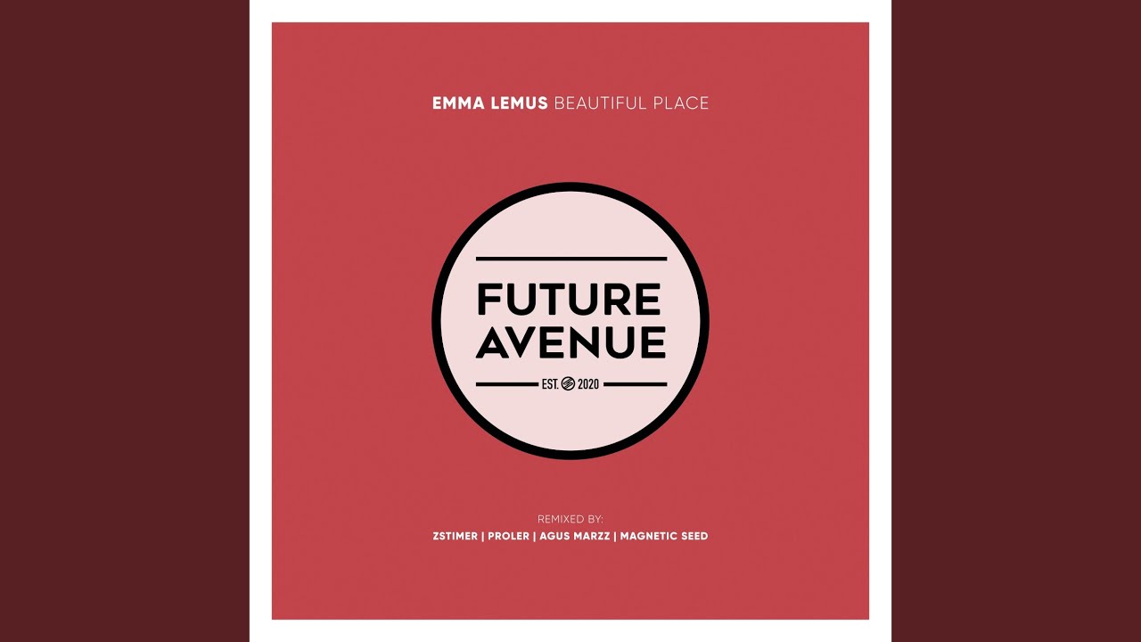 Beautiful Place (Magnetic Seed Remix)
