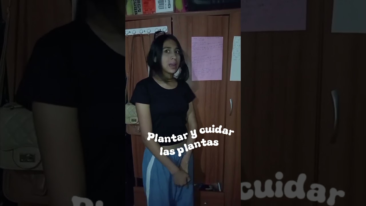 Medio ambiente comunidad, Alondra Maria Cruz Amador, 9no 