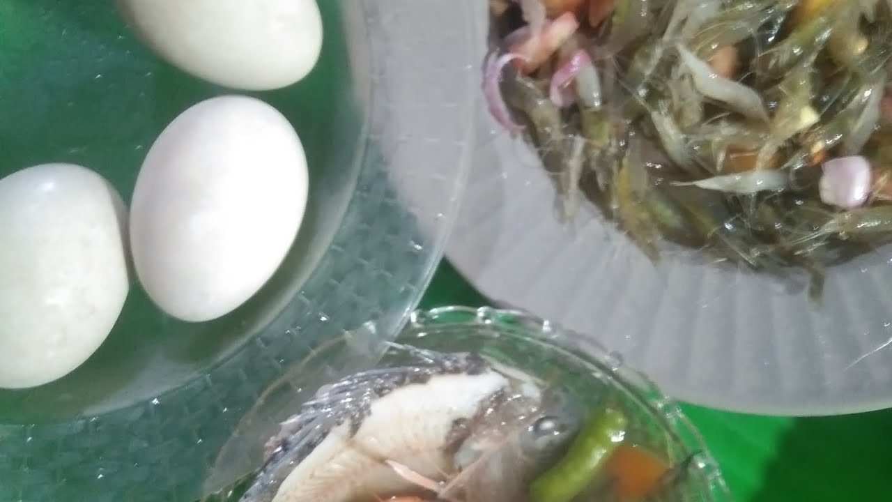 Tinolang native na tilapia balot at kilawing hipon kain Po tyo