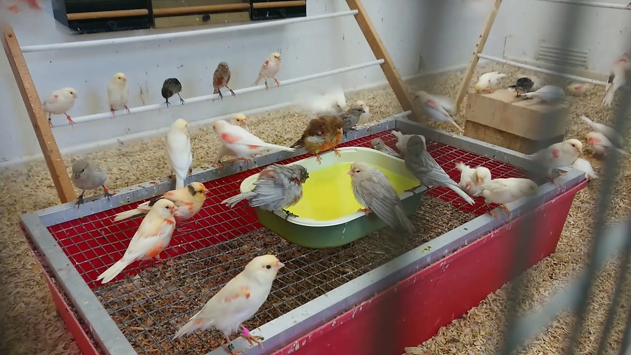 Bath time and fresh cucumber