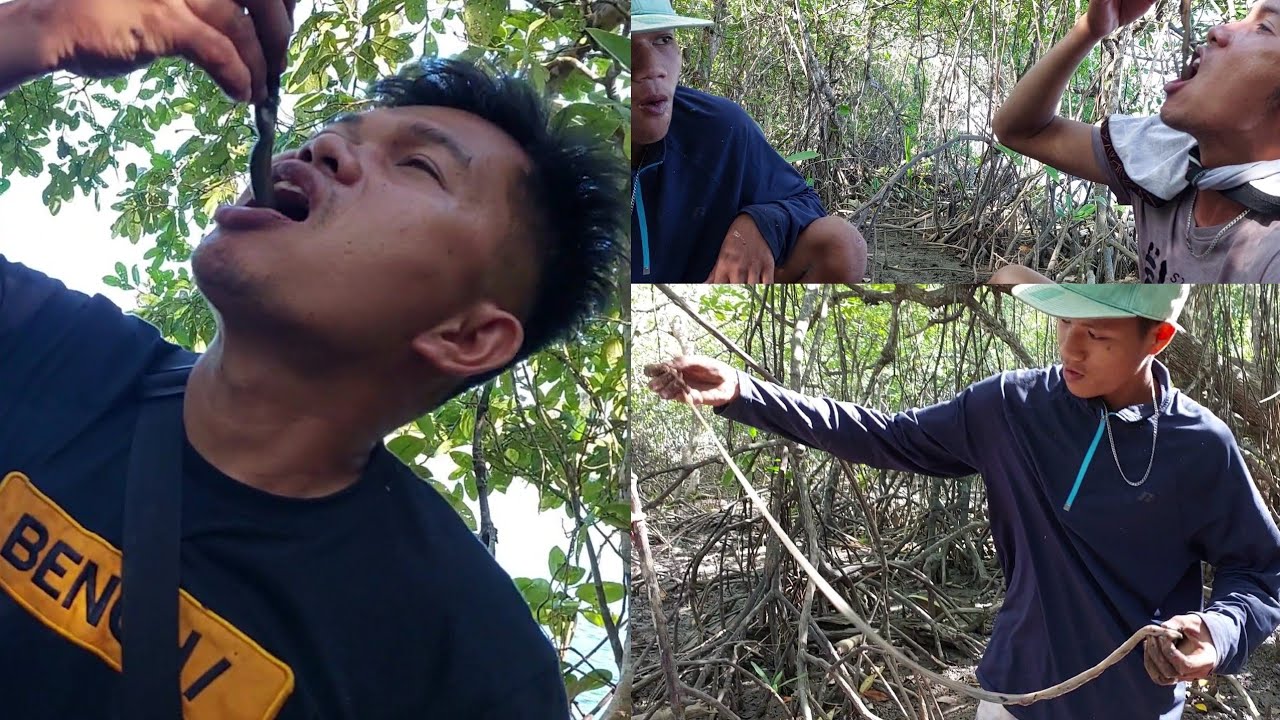 EATING WOOD WORMS IN PALAWAN, PHILIPPINES | WILD TAMILOK | EXOTIC FILIPINO FOOD?