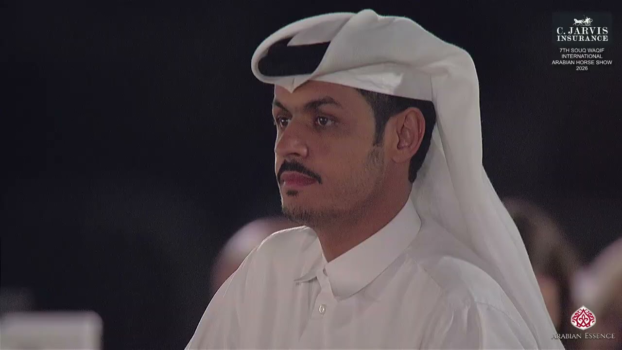 N 91 MAHER AL KHOR   7th Souq Waqif International Arabian Horse Show 2026   Yearling Colts   Section