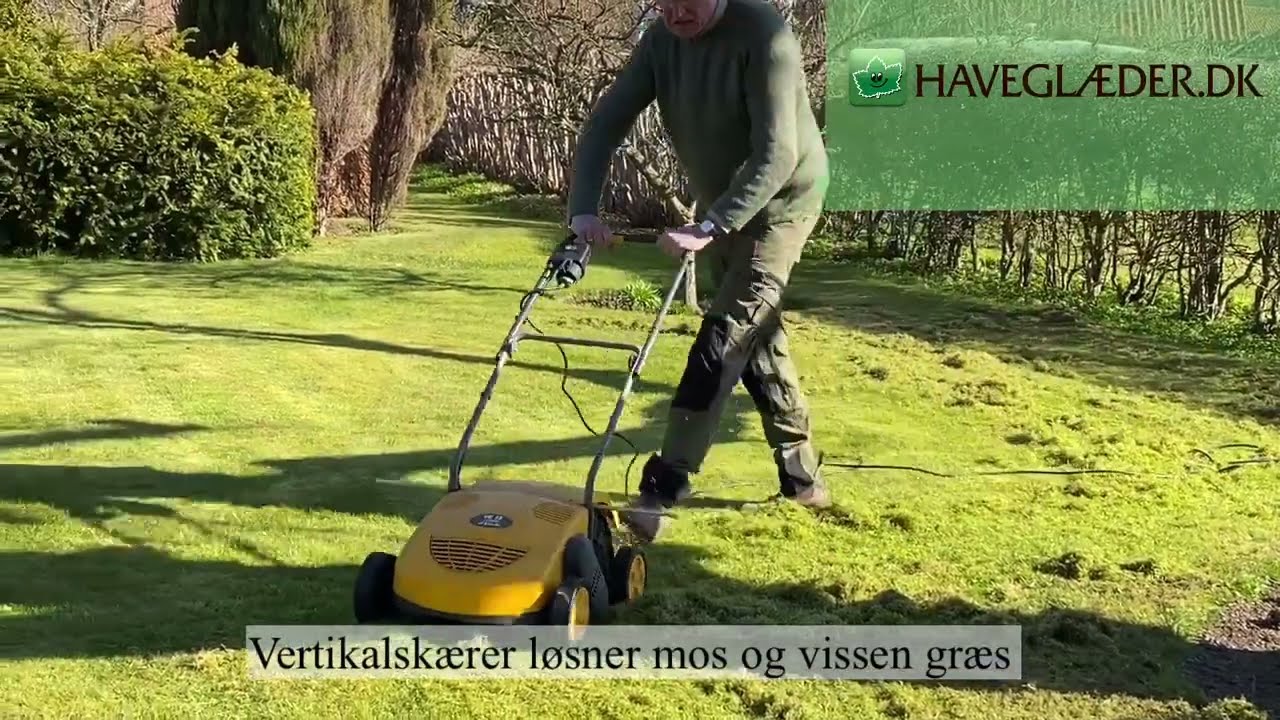 S&aring;dan fjerner du mos i din pl&aelig;ne - og s&aring;r nye gr&aelig;sfr&oslash; oveni