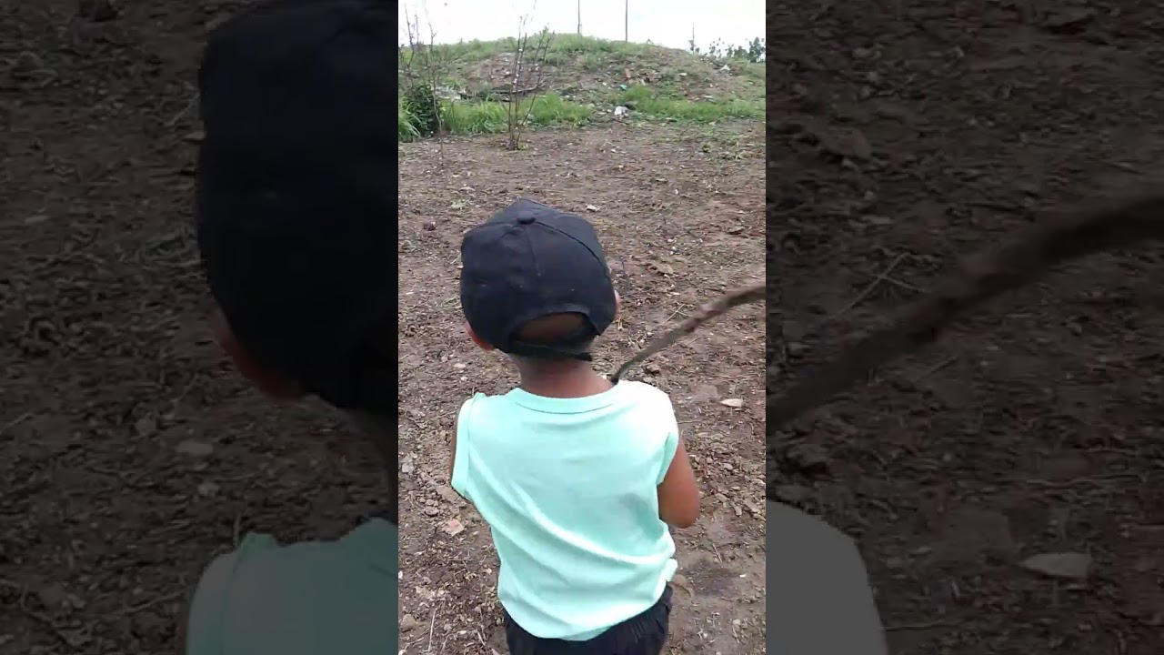 15 de fevereiro de 2026
