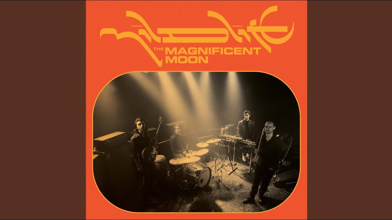 Mildlife - The Magnificent Moon (Edit)