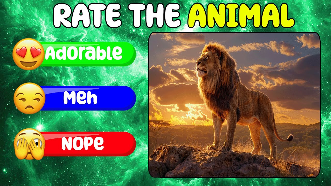 Rate the Animal Challenge 🦁🦅 Ultimate Animal Tierlist | Quiz Heat