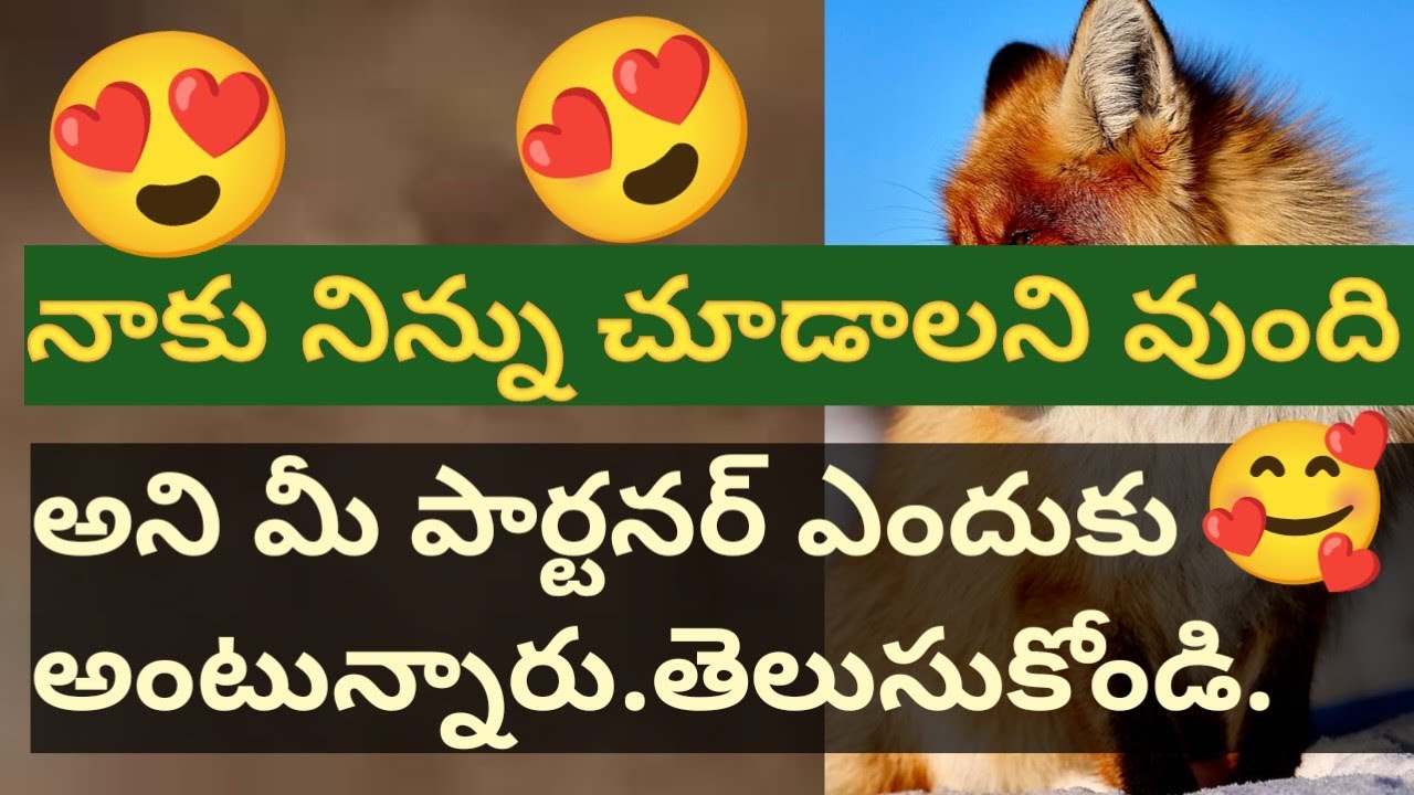 💯😍నాకు నిన్ను చూడాలని వుంది అని మీ పార్టనర్ ఎందుకు అంటున్నారు..🤔