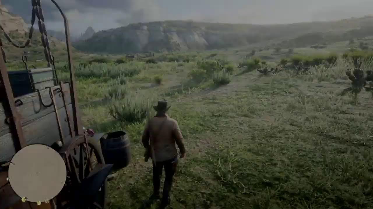 RDR 2