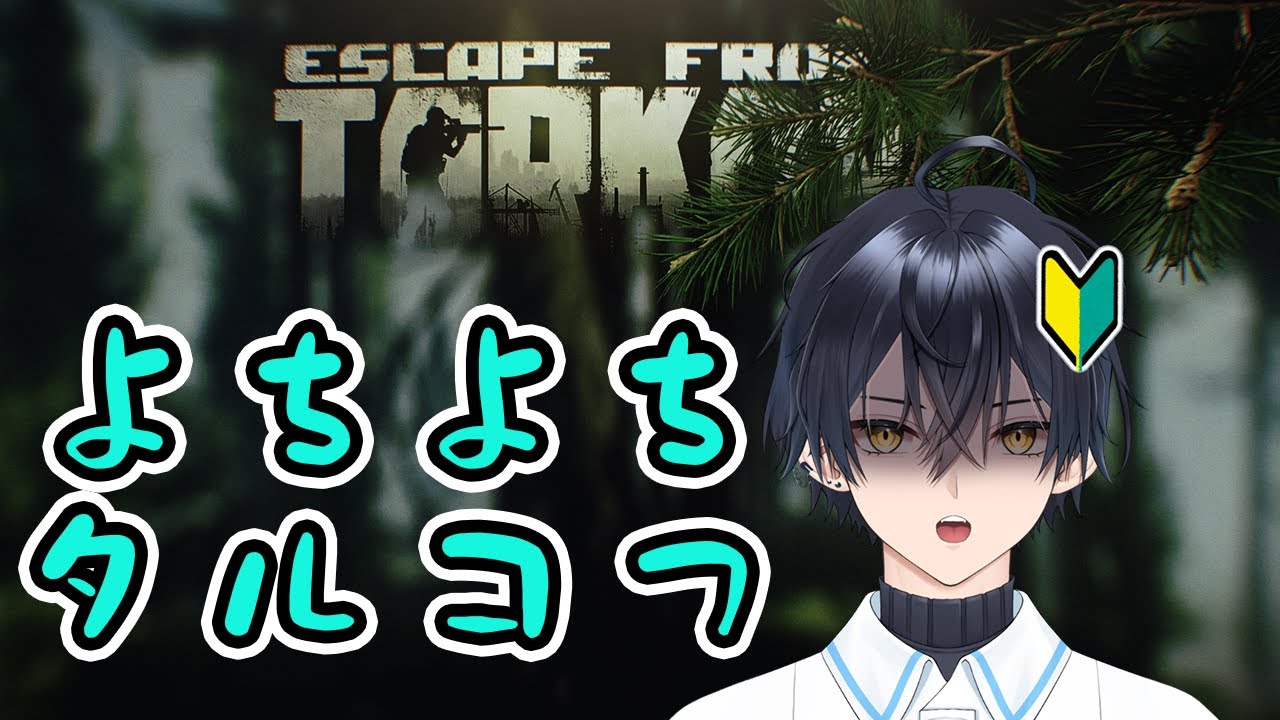 【初見OK／静かめ】#EFT PVEをやってみる【Escape from Tarkov/アステリオン】