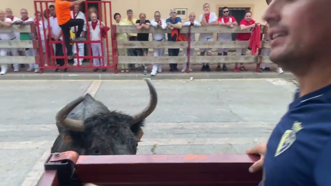 Último encierro en Milagro, Navarra. 