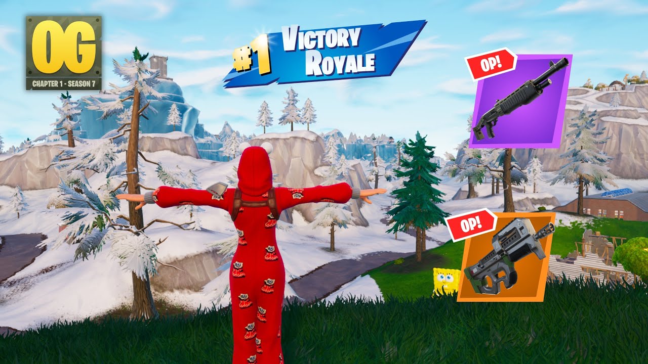 24 Kill Fortnite Solos 