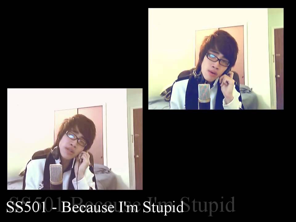 SS501 - Because I'm Stupid (English Cover)