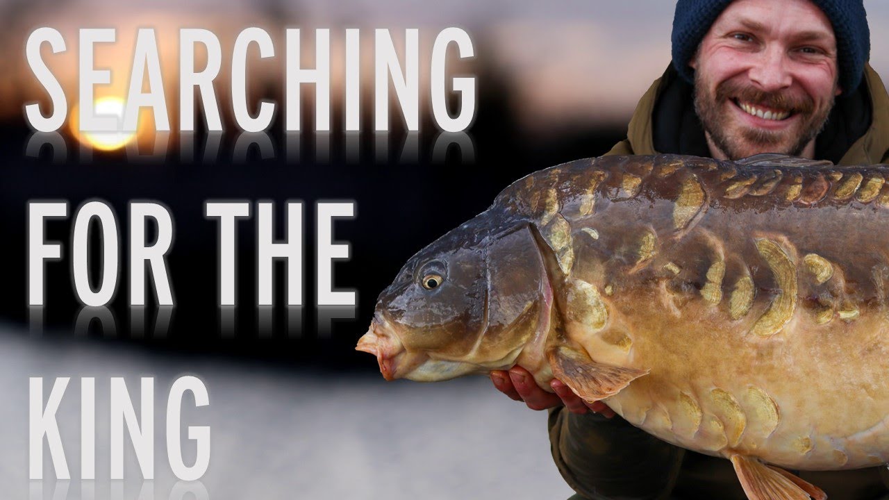 The Hunt For The Fossil | Paddock Lake Todber Manor Fisheries | Spring Carp Fishing 2022