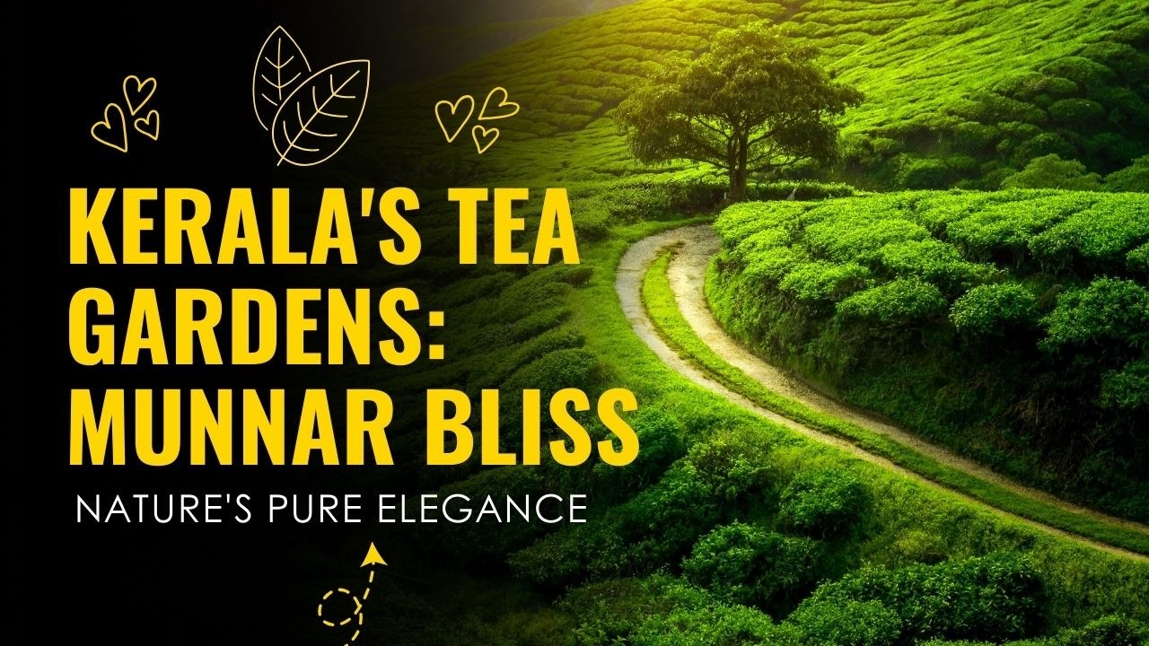 Scenic Road Through Tea Gardens in Munnar, Kerala | Nature Drive #travel #beautiful | మున్నార్, కేరళ