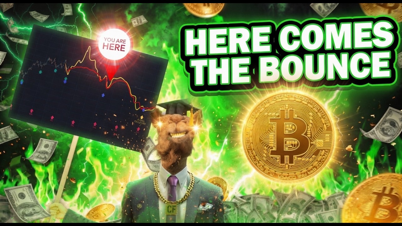 Here Comes the Bounce!
