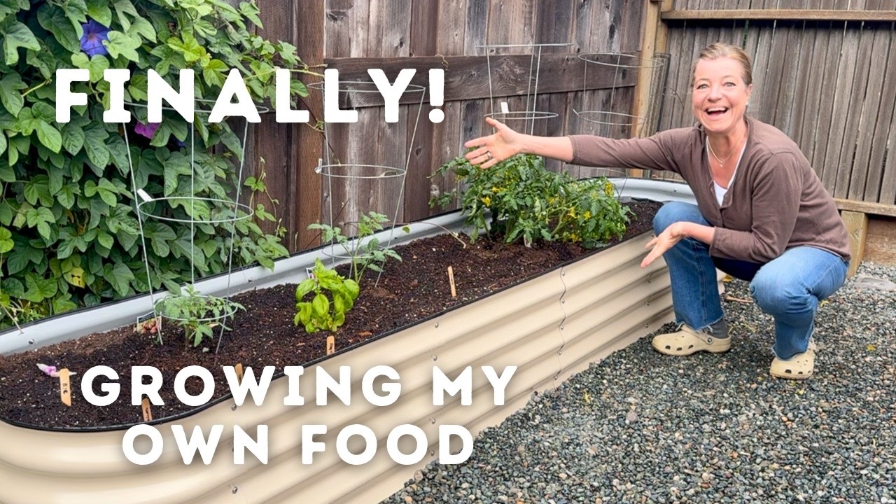 Grow Your Own Food: Raised Garden Bed Installation and Planting