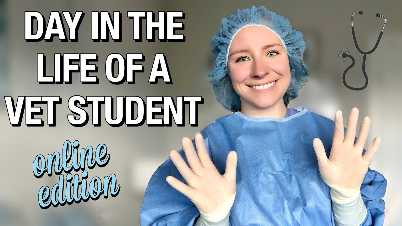 DAY IN THE LIFE OF A VET STUDENT: practicing my surgical skills at home!